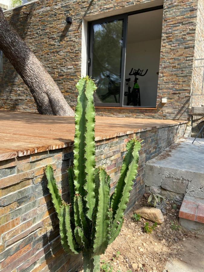 Hotel Cabanon La Calanque Du Peninsula Le Pradet Zewnętrze zdjęcie